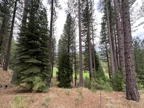 180 Saddle Ridge Rd, Clio, CA 96106 photo 10