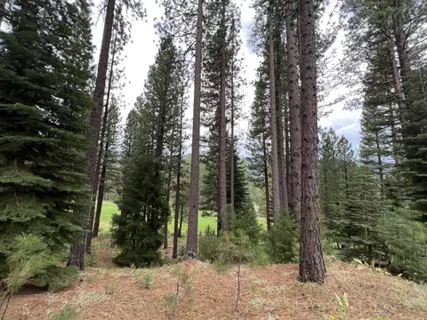 180 Saddle Ridge Rd, Clio, CA 96106 photo 11