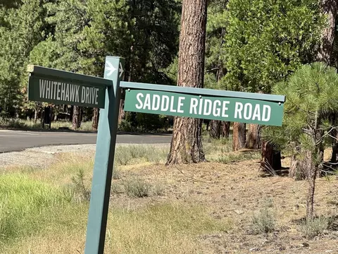 180 Saddle Ridge Rd, Clio, CA 96106 photo 28