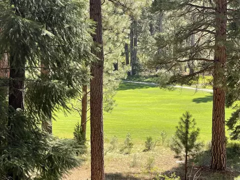 180 Saddle Ridge Rd, Clio, CA 96106 photo 4