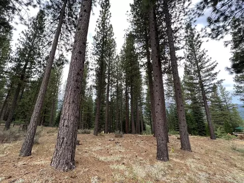 180 Saddle Ridge Rd, Clio, CA 96106 photo 14