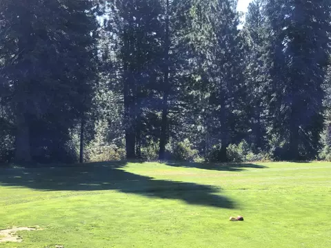 527 Red River Dr, Lake Almanor, CA 96137