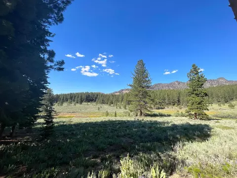 6771 Dixie Valley Rd, Chilcoot, CA 96105 photo 6