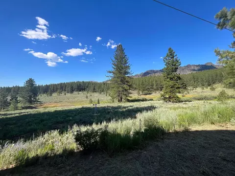 6771 Dixie Valley Rd, Chilcoot, CA 96105 photo 15