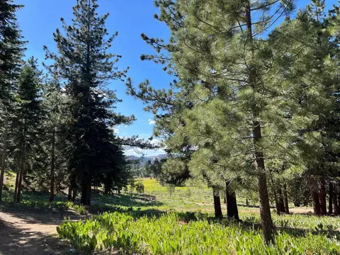 6771 Dixie Valley Rd, Chilcoot, CA 96105 photo 16