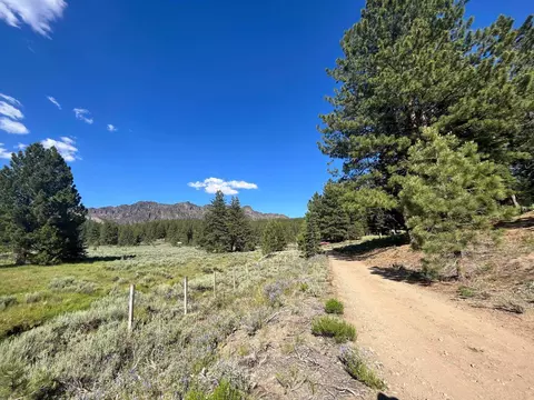 6771 Dixie Valley Rd, Chilcoot, CA 96105 photo 11