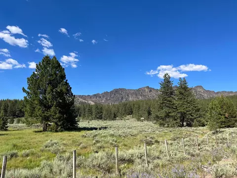 6771 Dixie Valley Rd, Chilcoot, CA 96105 photo 12