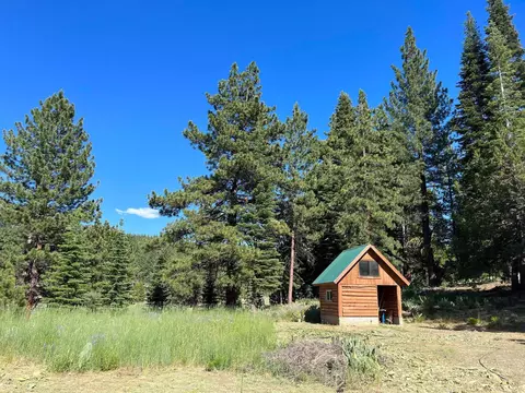 6771 Dixie Valley Rd, Chilcoot, CA 96105 photo 17