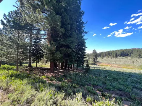 6771 Dixie Valley Rd, Chilcoot, CA 96105 photo 7