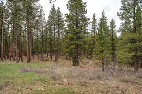 318 Coates Ave #1, Calpine, CA 96124 photo 21
