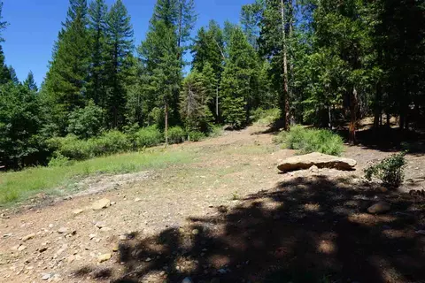2463 Running Springs Ln, Quincy, CA 95971