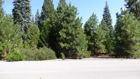 918 Marina Dr, Lake Almanor, CA 96137