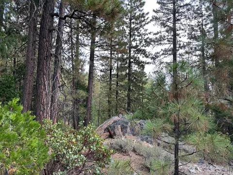 70303 Woodside Dr, Blairsden, CA 96122