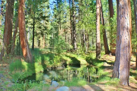 58695 Arrowhead Rd, Blairsden, CA 96103 photo 6