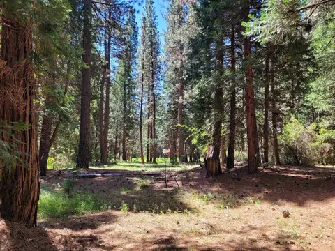 58695 Arrowhead Rd, Blairsden, CA 96103 photo 5