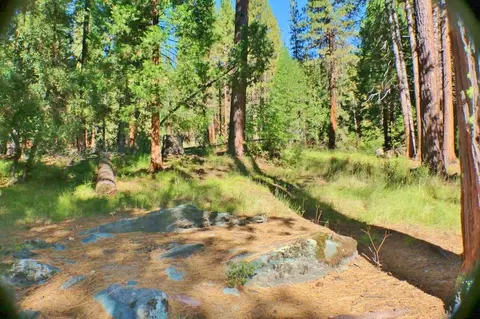 58695 Arrowhead Rd, Blairsden, CA 96103 photo 36