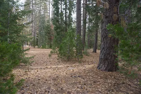58521 Wagon Wheel Rd, Cromberg, CA 96103