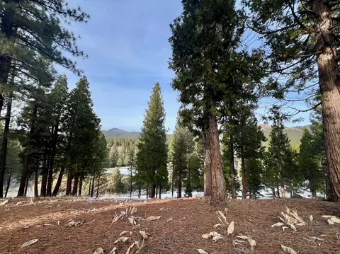 166 S Ridge Rd, Portola, CA 96122