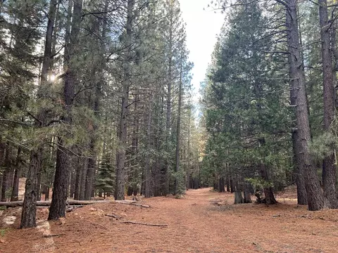1667 Red Fox Rd, Clio, CA 96106