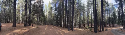 1667 Red Fox Rd, Clio, CA 96106 photo 11