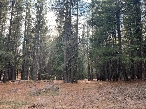 1667 Red Fox Rd, Clio, CA 96106 photo 9