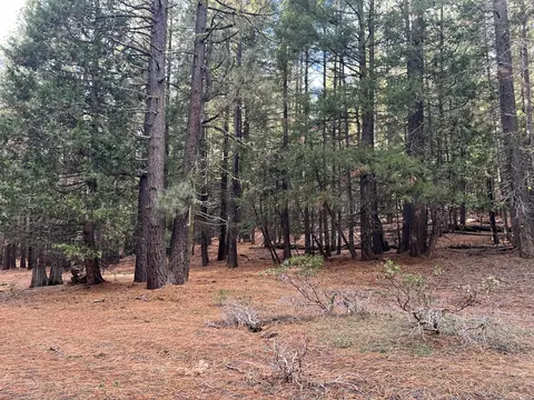 1667 Red Fox Rd, Clio, CA 96106 photo 7