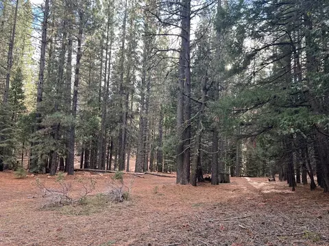 1667 Red Fox Rd, Clio, CA 96106 photo 8