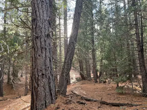 1667 Red Fox Rd, Clio, CA 96106 photo 4
