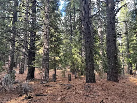 1667 Red Fox Rd, Clio, CA 96106 photo 6