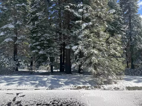 75 Grand Fir Rd, Lake Almanor, CA 96137