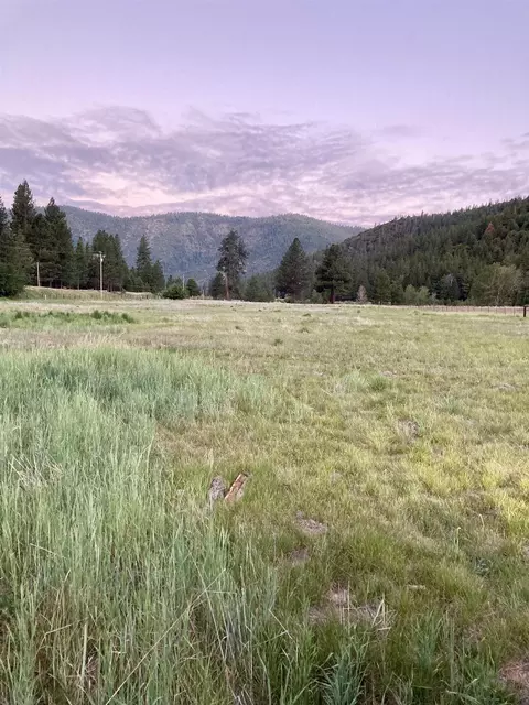5284 Diamond Mountain Rd, Taylorsville, CA 95983