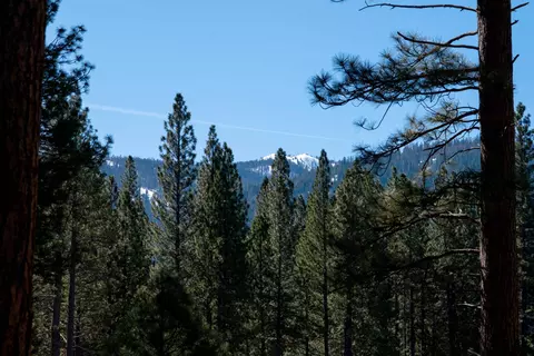 219 Fox Tail Ln, Clio, CA 96106 photo 10