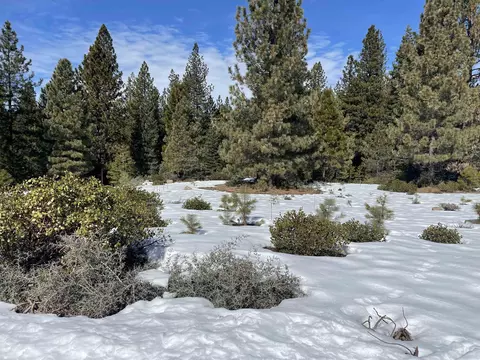 398 Bailey Creek Dr, Lake Almanor, CA 96137