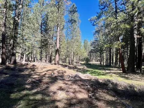 760 Goldridge Dr, Graeagle, CA 96103 photo 22