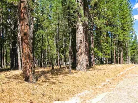 760 Goldridge Dr, Graeagle, CA 96103 photo 10