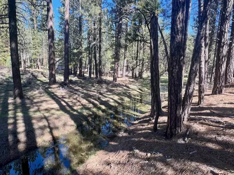 760 Goldridge Dr, Graeagle, CA 96103