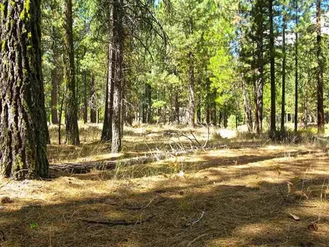 760 Goldridge Dr, Graeagle, CA 96103 photo 18