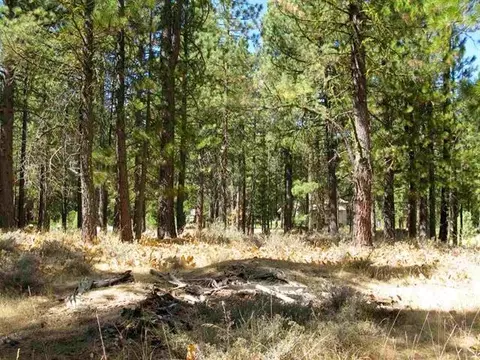 760 Goldridge Dr, Graeagle, CA 96103 photo 21