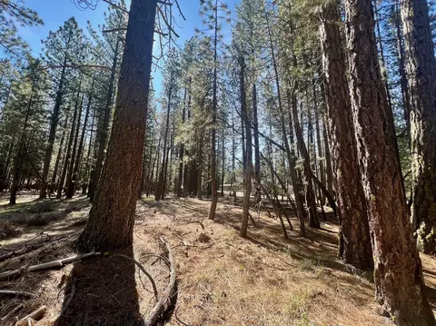 760 Goldridge Dr, Graeagle, CA 96103 photo 25