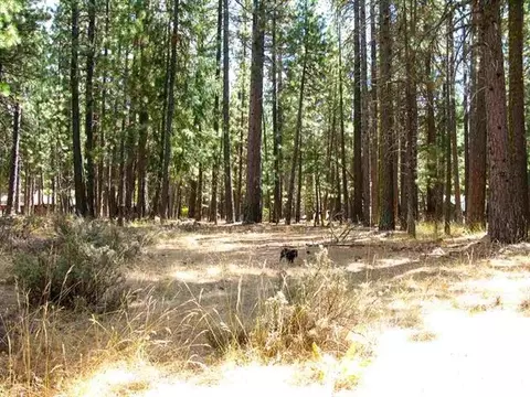760 Goldridge Dr, Graeagle, CA 96103 photo 6
