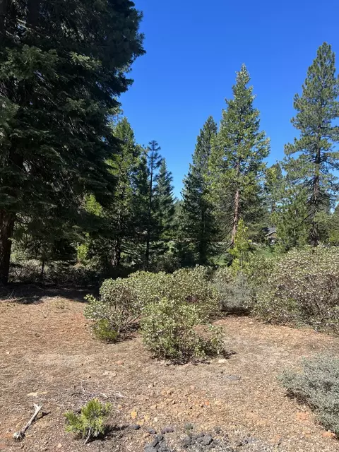 214 Manor Dr, Lake Almanor, CA 96137