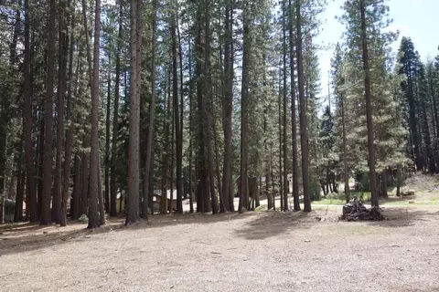 14 Evergreen Cir, Blairsden, CA 96103