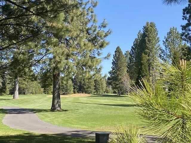 73 Creekhaven Dr, Lake Almanor, CA 96137
