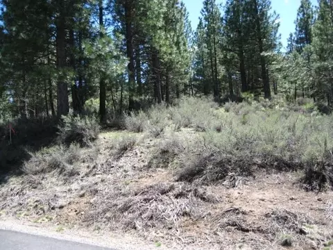 1249 Great Spirit #16, Portola, CA 96122