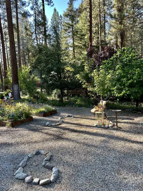 209 Lundy Ln, Blairsden, CA 96103 photo 45