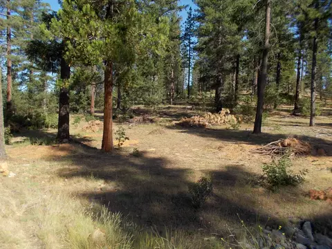 263 Liberty Ln, Quincy, CA 95971