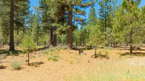 1810 Valley Ranch Dr, Clio, CA 96106 photo 7
