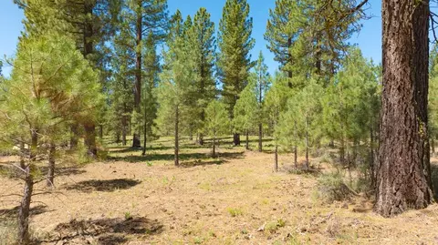 1810 Valley Ranch Dr, Clio, CA 96106