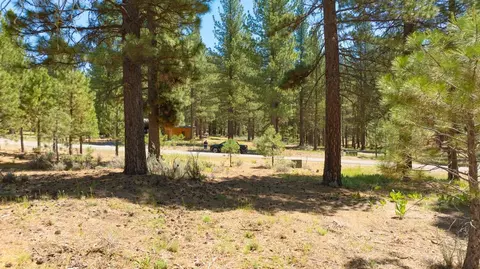 1810 Valley Ranch Dr, Clio, CA 96106 photo 4