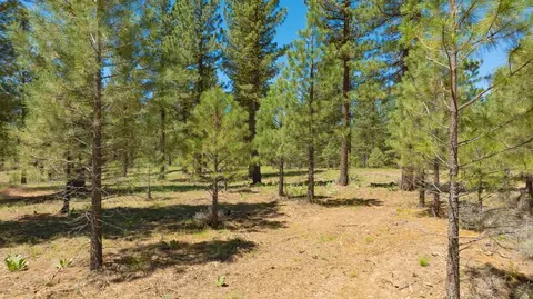 1810 Valley Ranch Dr, Clio, CA 96106 photo 3